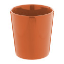 Angulus orange  mug  