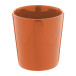 Angulus orange  mug  