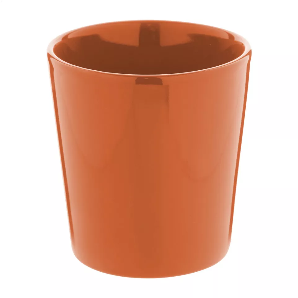 Angulus orange  mug  
