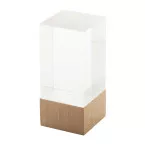 Polofi natural transparent trophy 