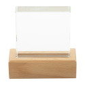 Rectofi natural transparent trophy 