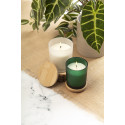 Daizu XL white  candle, vanilla 