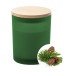 Daizu green  candle, pine tree 