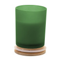 Daizu green  candle, pine tree 