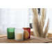 Daizu green  candle, pine tree 