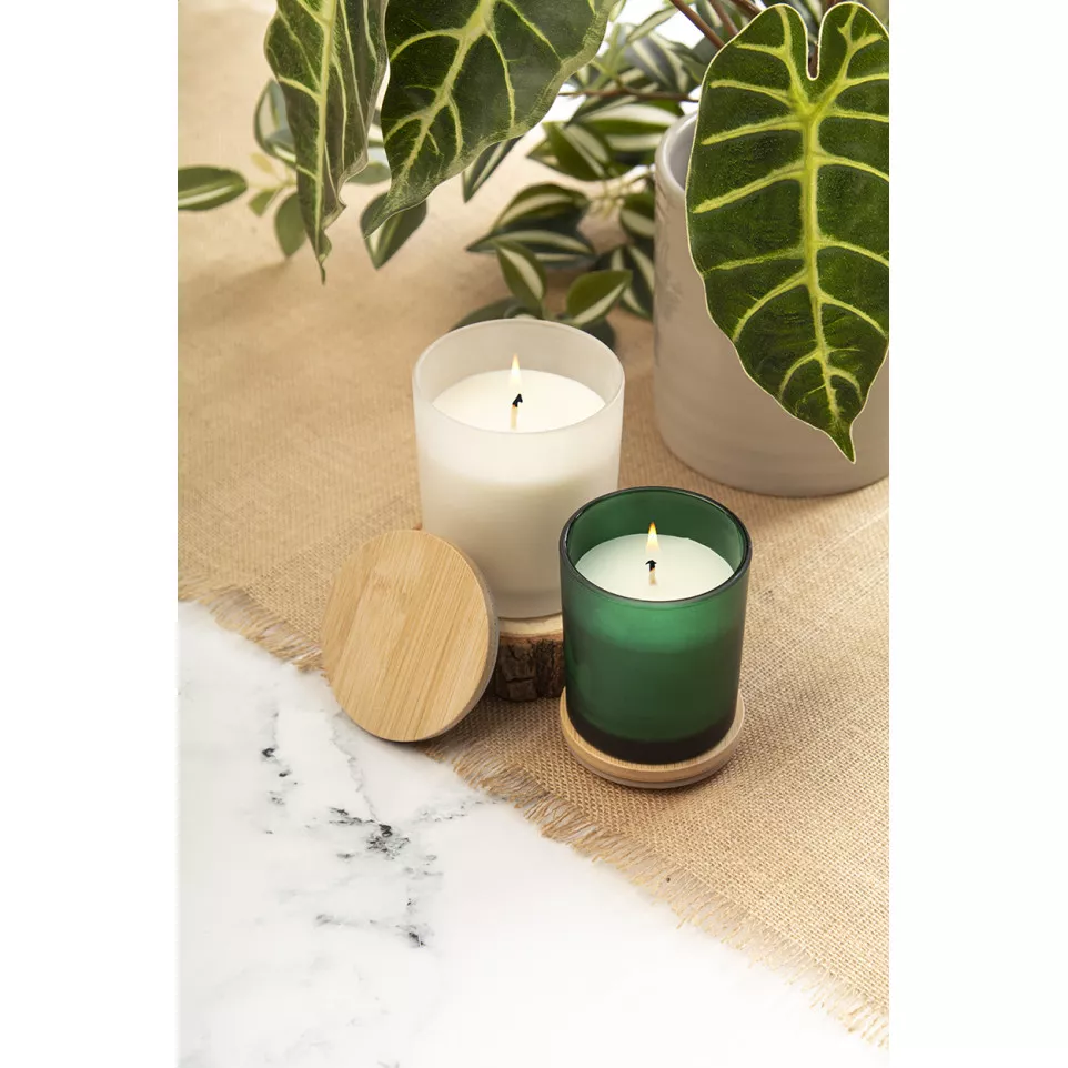 Daizu green  candle, pine tree 