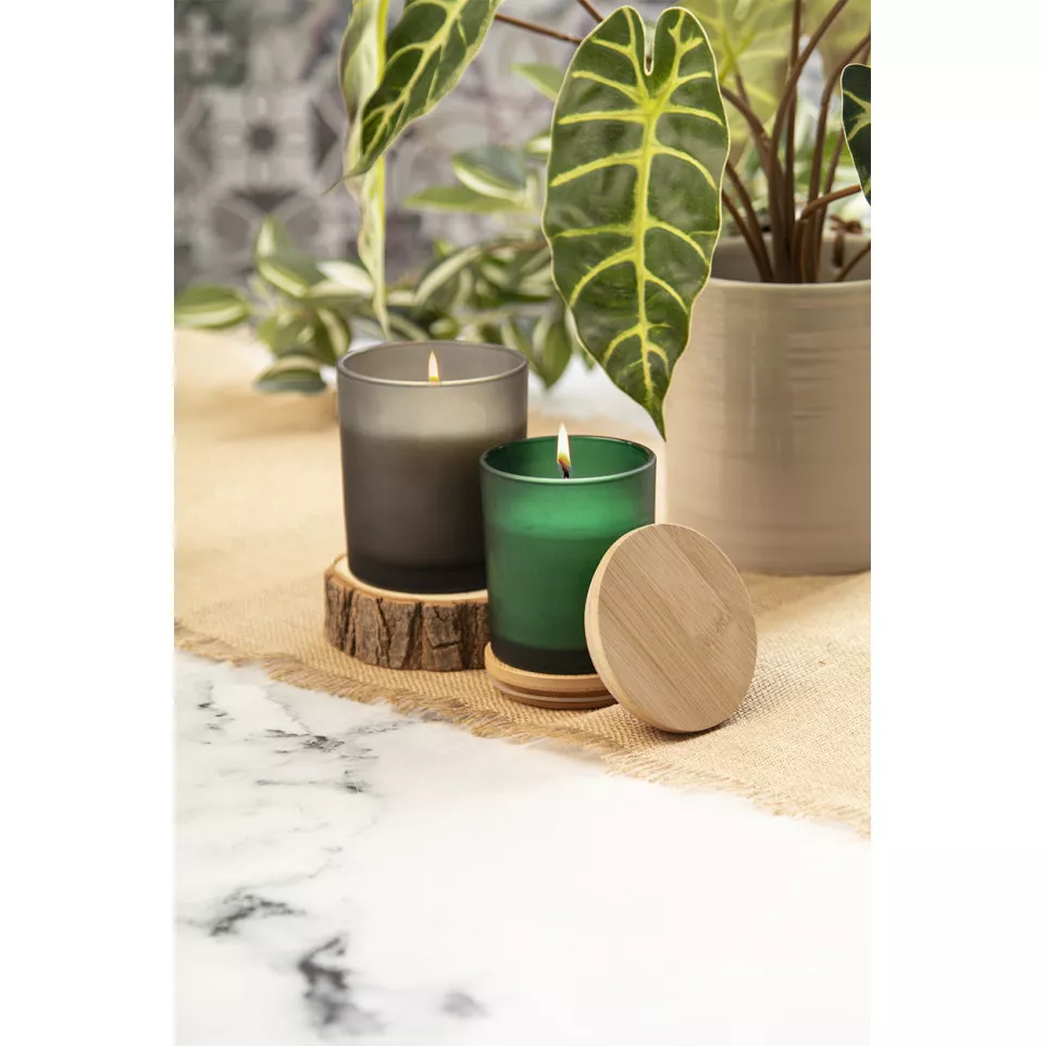 Daizu vert  bougie pin 