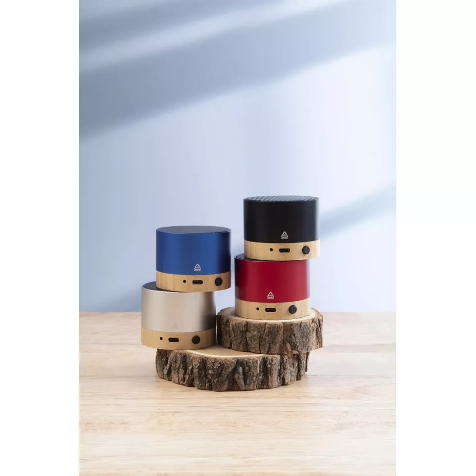 RalooBeat silver  wireless speaker 