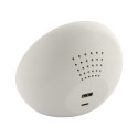 Rabolarm blanc  Réveil chargeur sans fil 