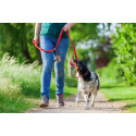 Pavesave blanc  Distributeur sur mesure de sachets pour chiens RPET. 