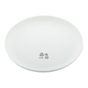 Reppy white  RPP frisbee 