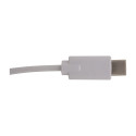 RalooCharge natural silver wireless charger 