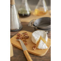Taleggio naturelle  service à fromage  