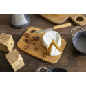 Taleggio naturelle  service à fromage  