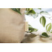 Bloom naturelle  trousse de toilette 