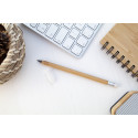 Bovoid natural  bamboo inkless pen 