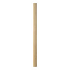 Carpenter beige  pencil 