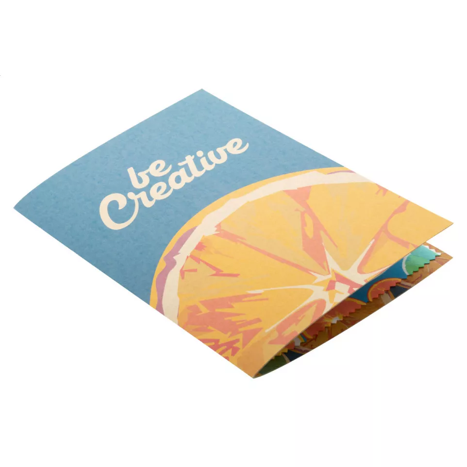 Dioptry Mail Eco naturelle  carte...