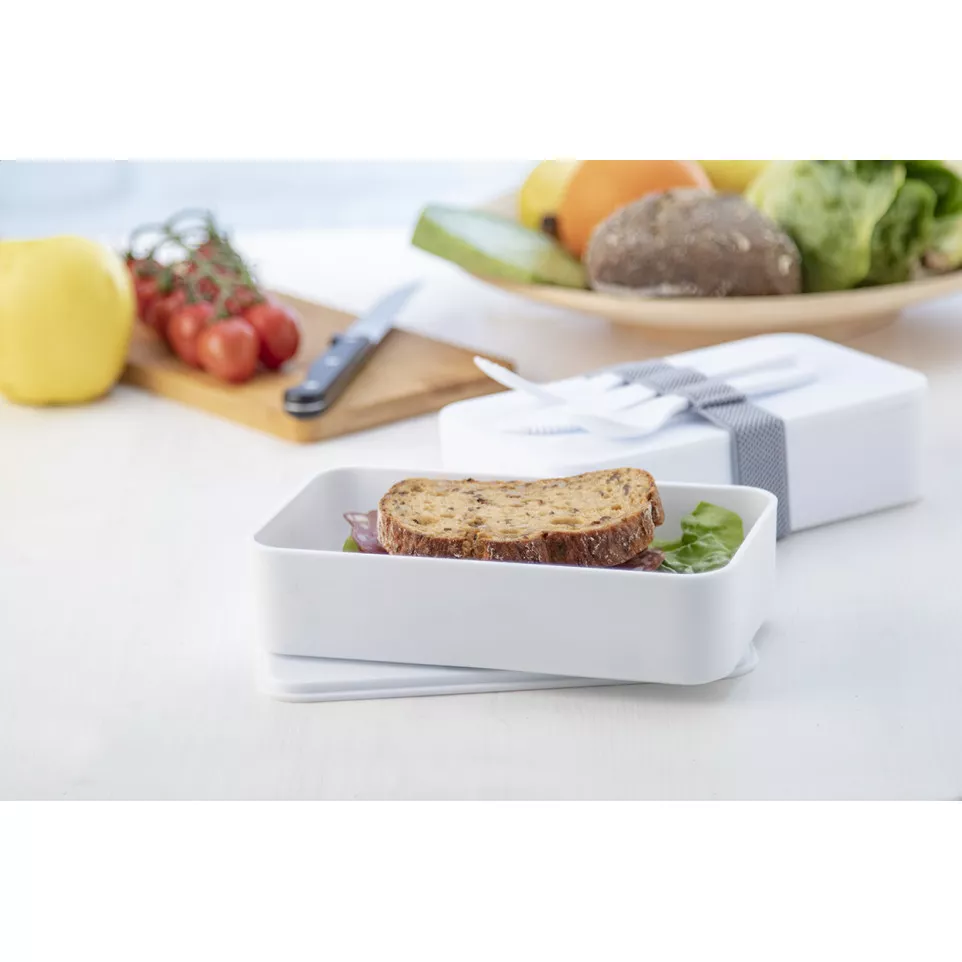 Ayam blanc  lunch box antibactérien 