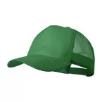 Cameron green  baseball cap 