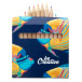 Penxil 12 wit  custom made 12-delige pennenset  