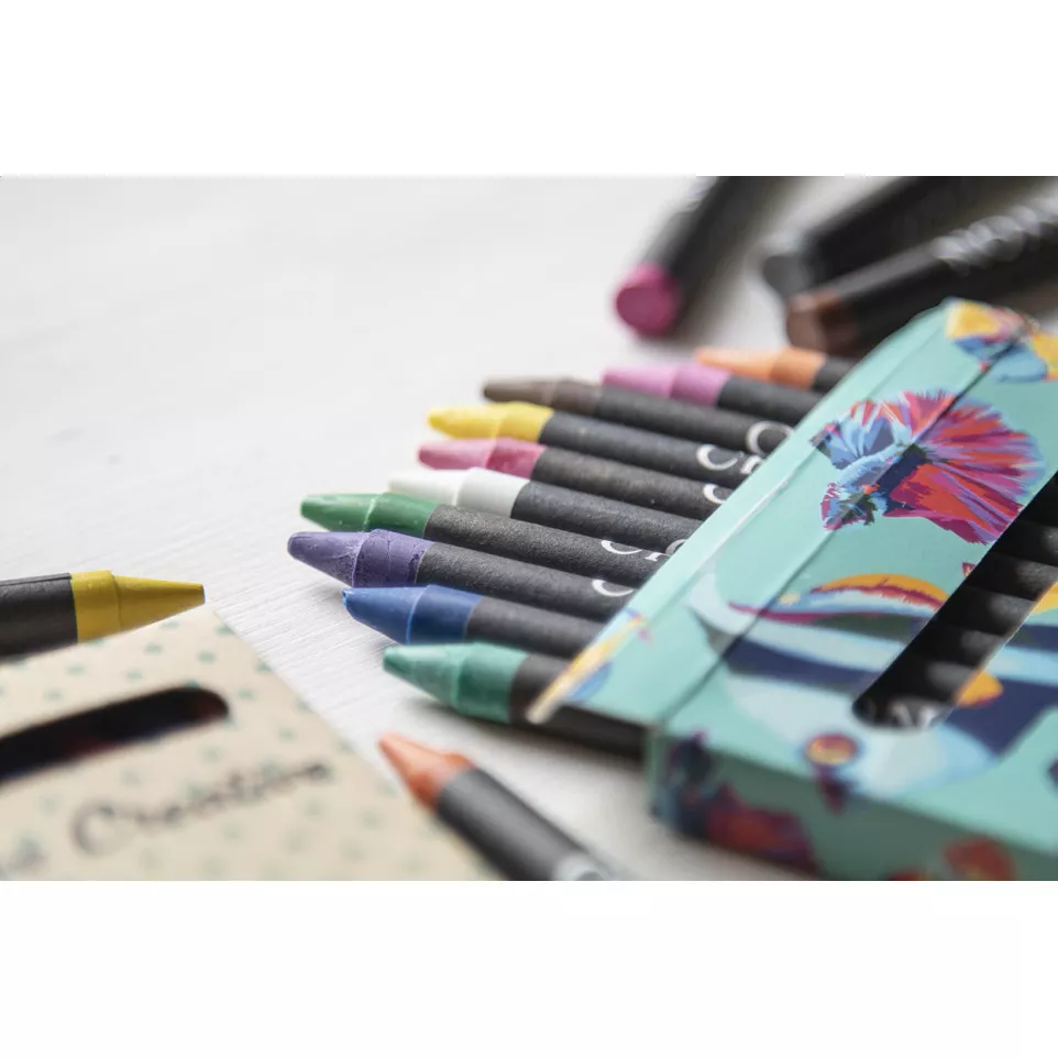Craxon 12 naturelle  set de 12 pastels 