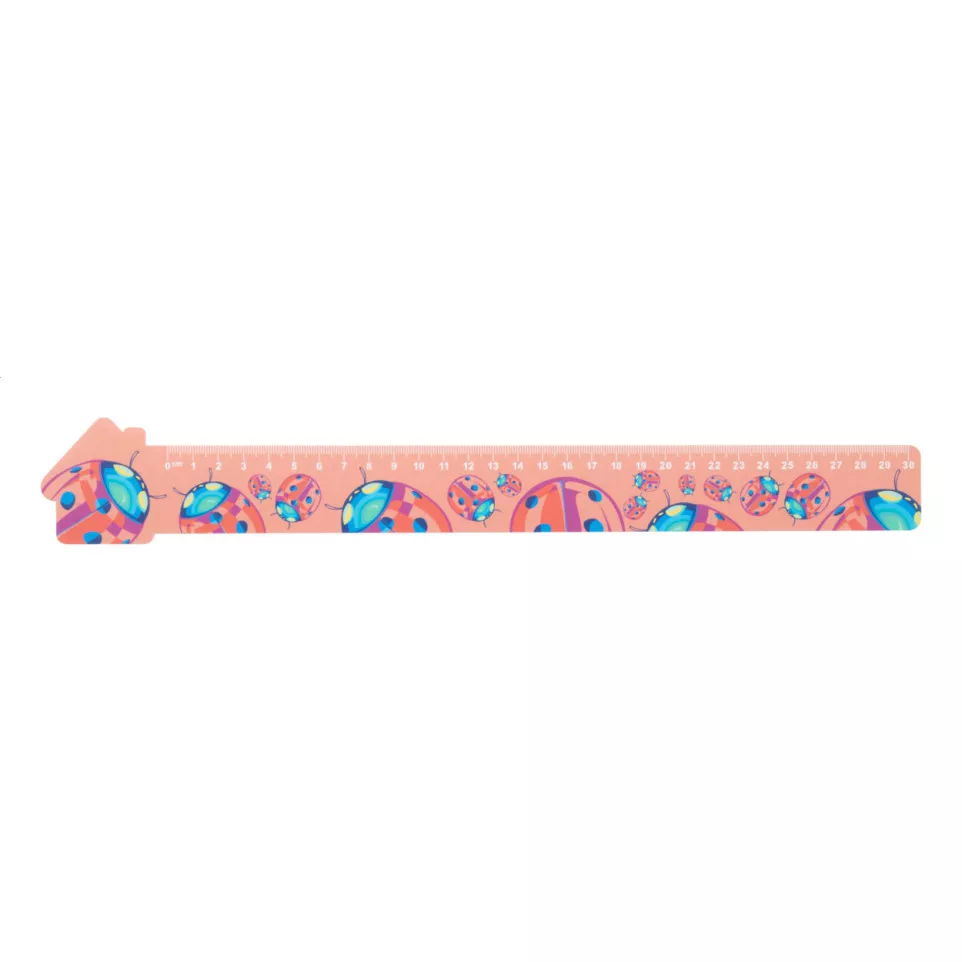 Couler 30 blanc  règle 30 cm, maison 