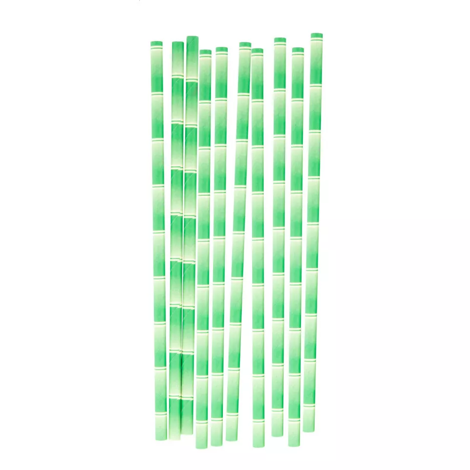BamStraw vert  set de pailles 