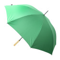 Asperit vert  parapluie en rpet 