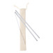SteelSip silver  straw set 