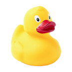 Squack geel  eend 