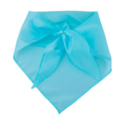 Capra bleu clair  foulard 