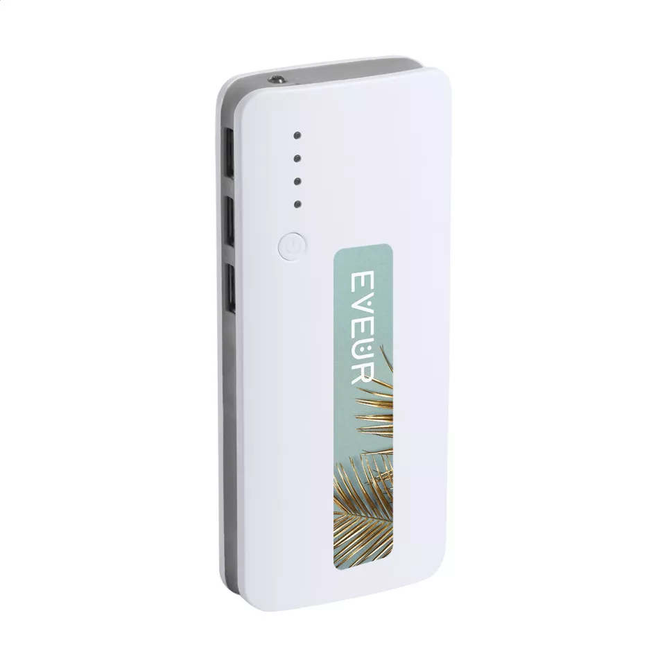 Tenak gris cendré blanc power bank 