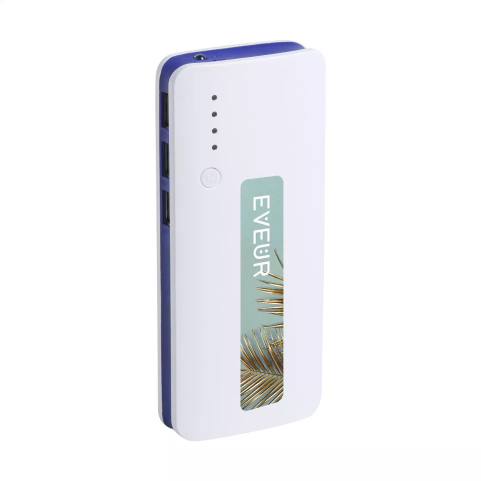 Tenak bleu blanc power bank 