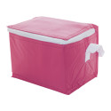 Ortit pink  cooler bag 