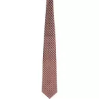 Tienamic brown  tie 