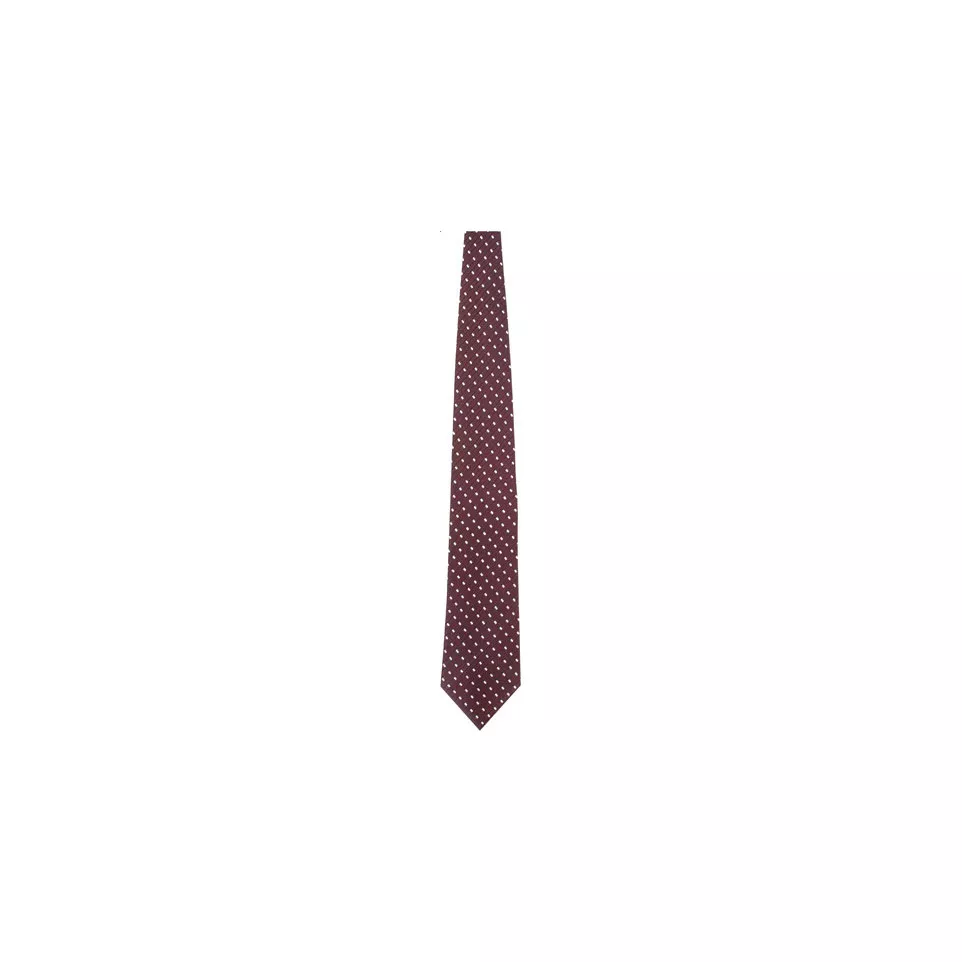 Tienamic maroon  tie 
