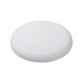 Horizon wit  frisbee 
