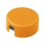 Spiked orange  taille-crayon 