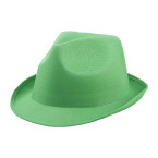 Party green  hat 