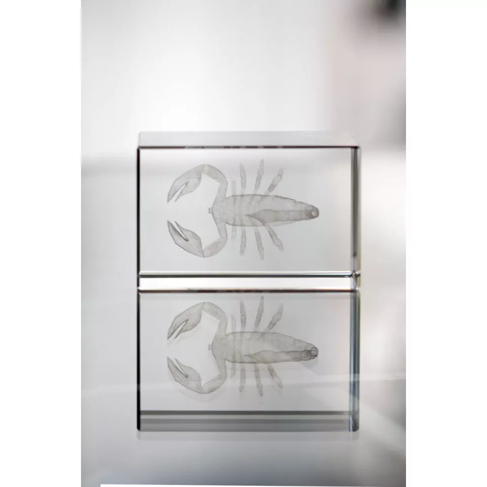 Macon transparent  glass block 