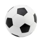 Pancho black white football 