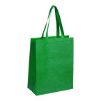 Bittak green  shopping bag 
