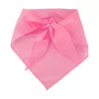 Capra rose  scarf 