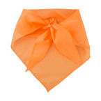 Capra orange  foulard 