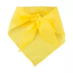 Capra yellow  scarf 
