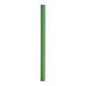 Carpenter vert  crayons de charpentier 