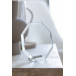 Champion transparent  trophy 