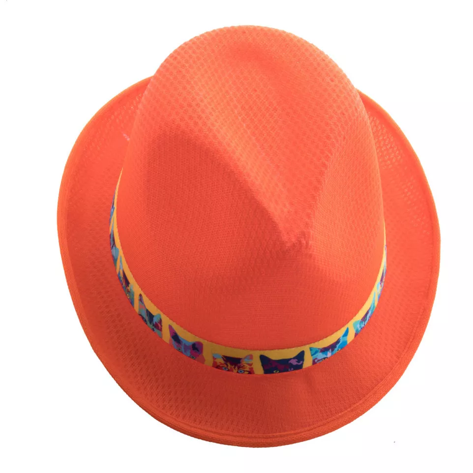 Subrero blanc  bandeau pour chapeaux 