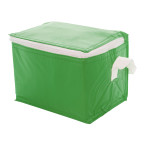 Ortit green  cooler bag 